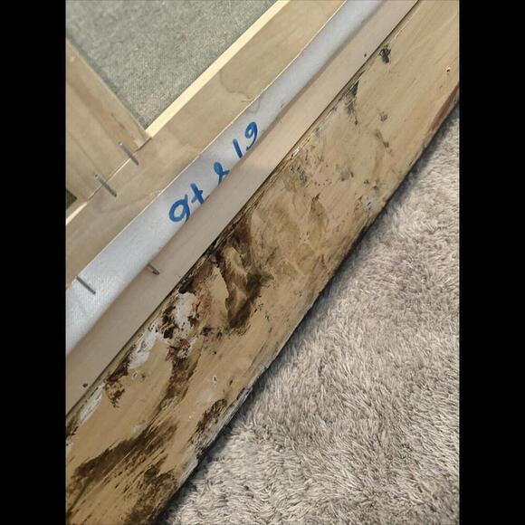 Enrique Alonso Painting Fine Art Oil on Canvas Signed With Solid Wood Framed - Picture 13 of 16